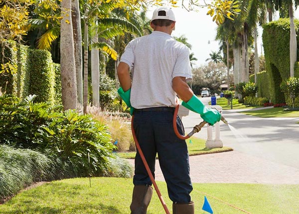 About Prospect OH Pest Control